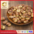 Leisure Snacks Wholesale Roasted Broad Beans